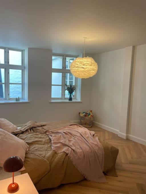 Nyrenoveret Charmerende Lejlighed I Odense C! Lägenhet Exteriör bild