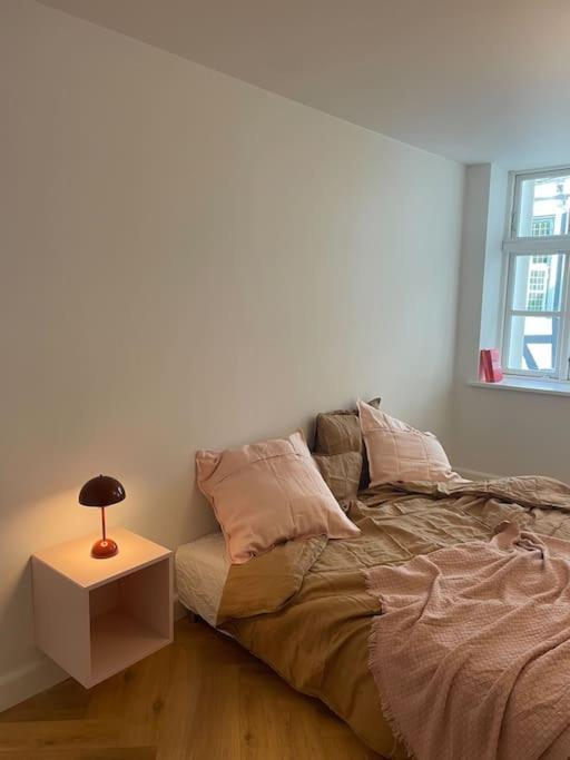 Nyrenoveret Charmerende Lejlighed I Odense C! Lägenhet Exteriör bild